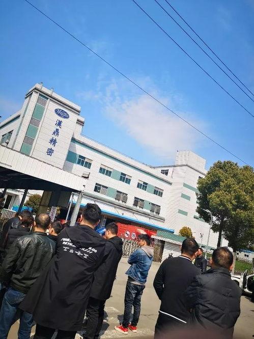 江苏昆山爆料事件最新,真相与争议交织的悬疑剧  第1张